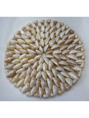 Shell-Coated Handmade Decorative Trivet 6" Coastal-Boho Style